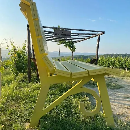 Le Calendule,Relax Home & Wine Strevi Exterior photo