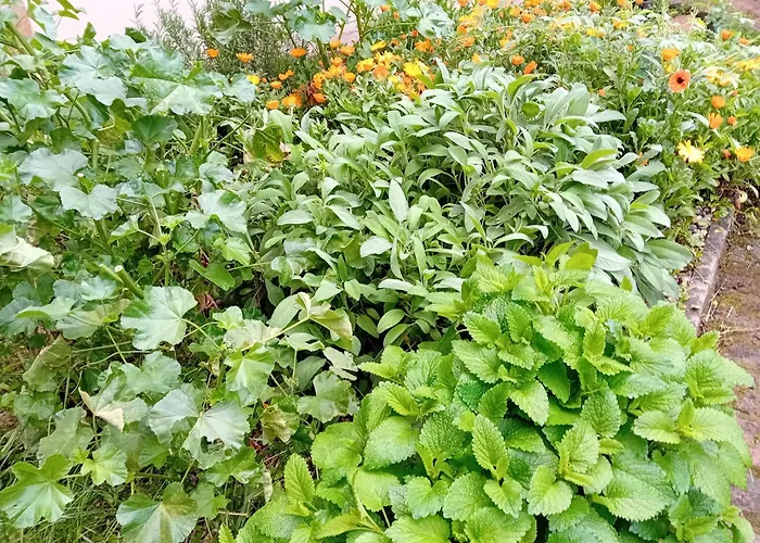 Le Calendule,Relax Home & Wine