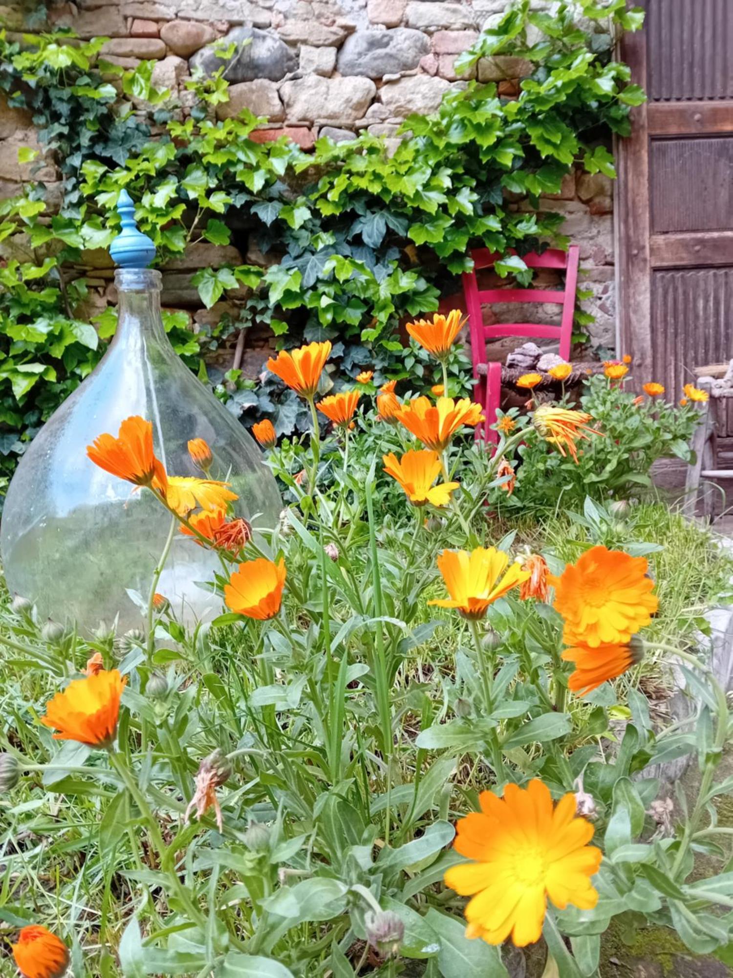 Holiday home Le Calendule,relax & Wine *